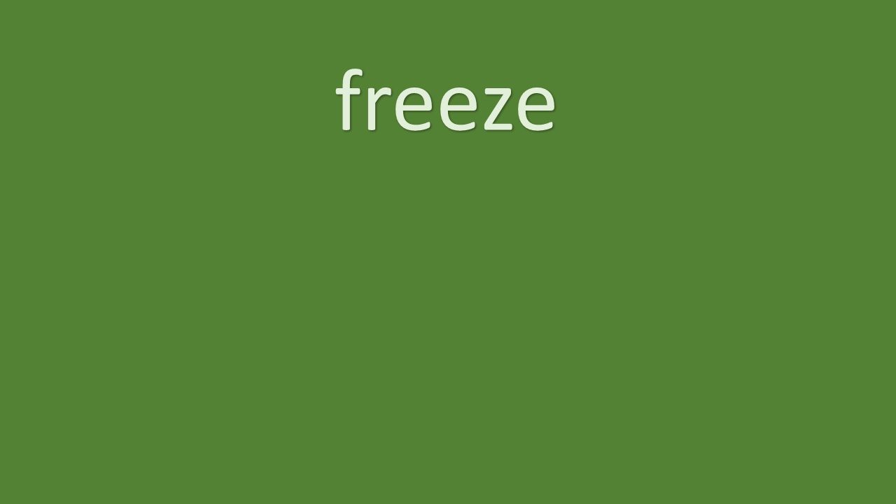 freeze