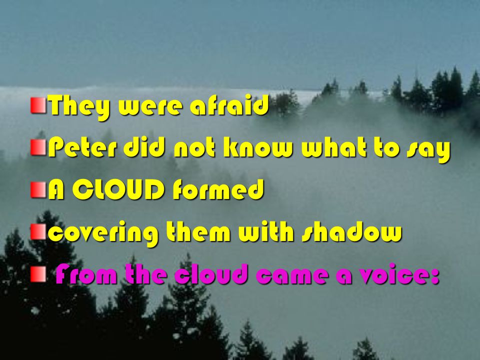 They were afraid Peter did not know what to say A CLOUD formed covering them with shadow From the cloud came a voice: