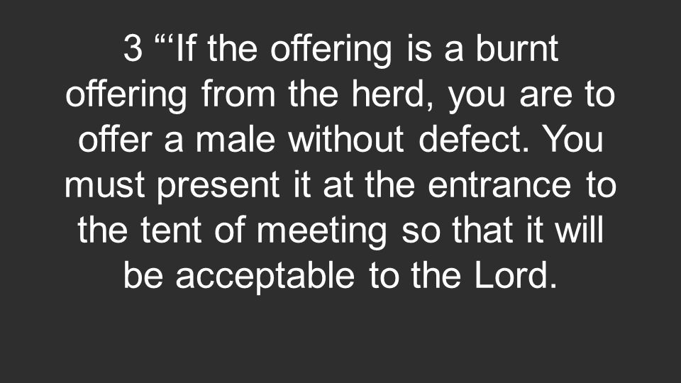 3 ‘If the offering is a burnt offering from the herd, you are to offer a male without defect.