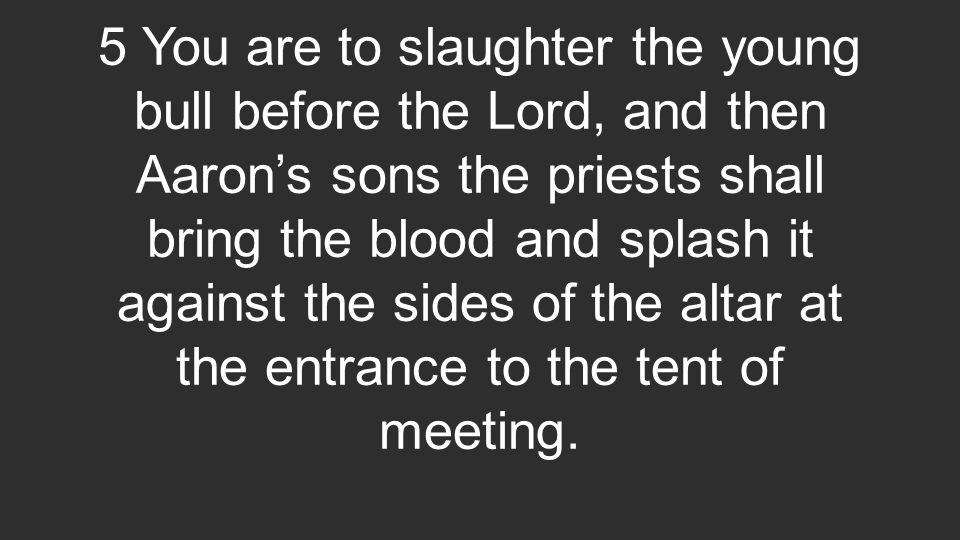 5 You are to slaughter the young bull before the Lord, and then Aaron’s sons the priests shall bring the blood and splash it against the sides of the altar at the entrance to the tent of meeting.