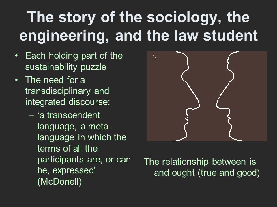 The story of the sociology, the engineering, and the law student Each holding part of the sustainability puzzle The need for a transdisciplinary and integrated discourse: –‘a transcendent language, a meta- language in which the terms of all the participants are, or can be, expressed’ (McDonell) The relationship between is and ought (true and good)