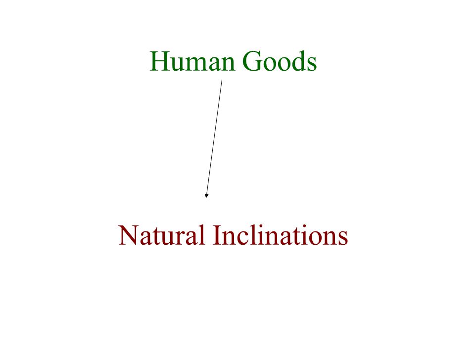 Human Goods Natural Inclinations