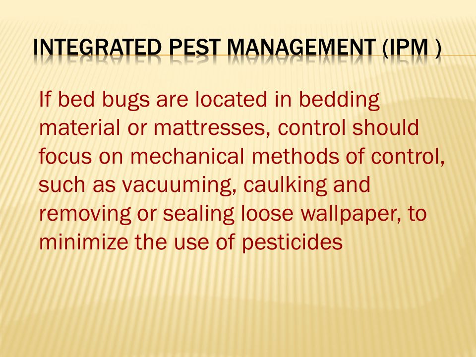 If bed bugs are located in bedding material or mattresses, control should focus on mechanical methods of control, such as vacuuming, caulking and removing or sealing loose wallpaper, to minimize the use of pesticides