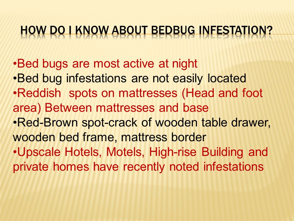 Bed bugs are most active at night Bed bug infestations are not easily located Reddish spots on mattresses (Head and foot area) Between mattresses and base Red-Brown spot-crack of wooden table drawer, wooden bed frame, mattress border Upscale Hotels, Motels, High-rise Building and private homes have recently noted infestations