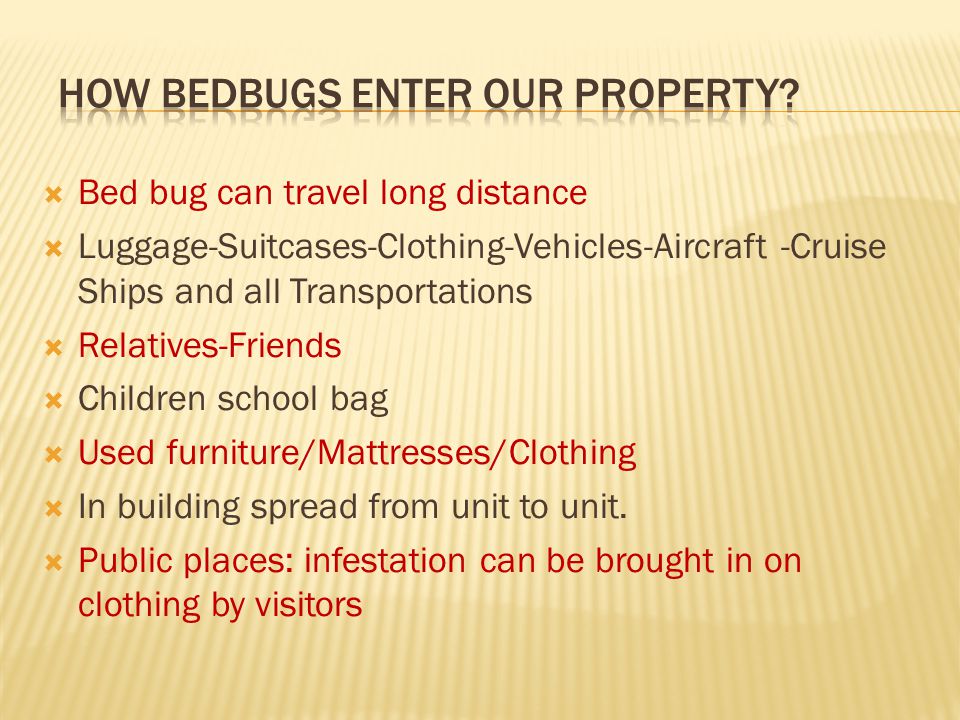  Bed bug can travel long distance  Luggage-Suitcases-Clothing-Vehicles-Aircraft -Cruise Ships and all Transportations  Relatives-Friends  Children school bag  Used furniture/Mattresses/Clothing  In building spread from unit to unit.