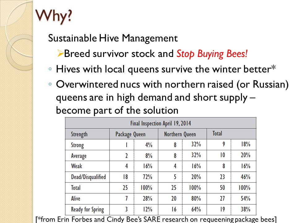 Sustainable Hive Management  Breed survivor stock and Stop Buying Bees.