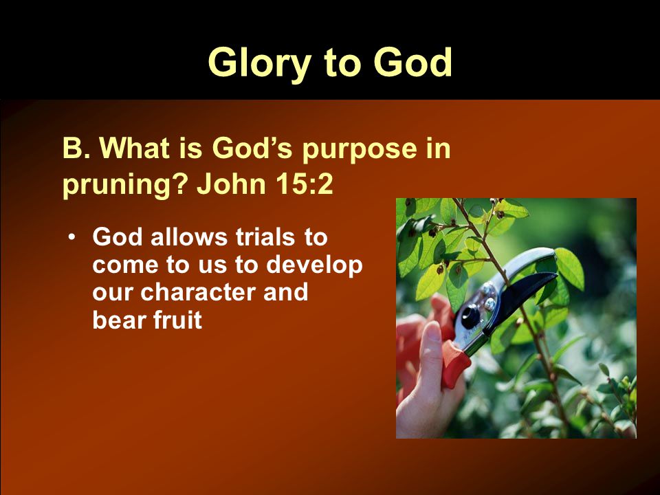 Glory to God God allows trials to come to us to develop our character and bear fruit B.