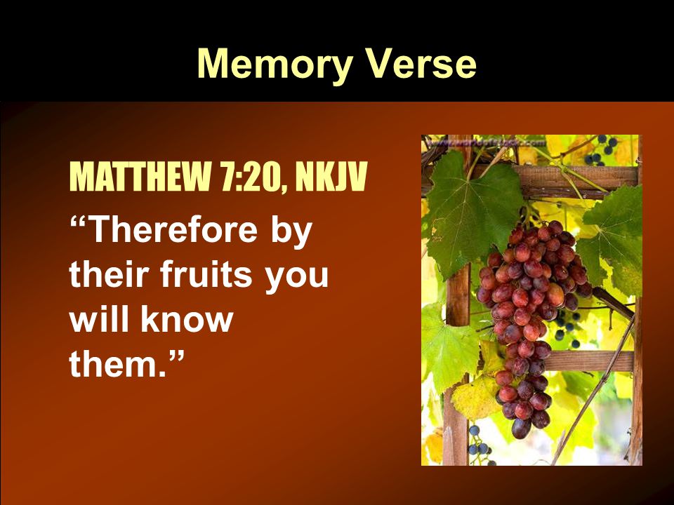 Memory Verse Therefore by their fruits you will know them. MATTHEW 7:20, NKJV