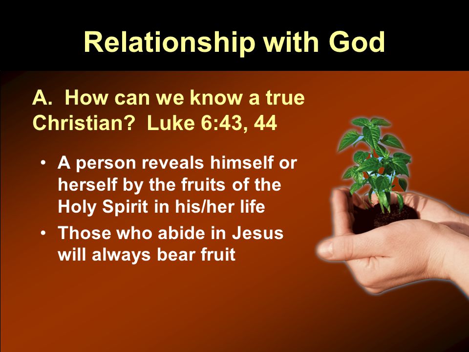 Relationship with God A person reveals himself or herself by the fruits of the Holy Spirit in his/her life Those who abide in Jesus will always bear fruit A.