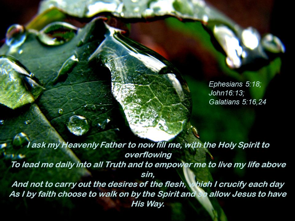 I ask my Heavenly Father to now fill me, with the Holy Spirit to overflowing To lead me daily into all Truth and to empower me to live my life above sin, And not to carry out the desires of the flesh, which I crucify each day As I by faith choose to walk on by the Spirit and so allow Jesus to have His Way.