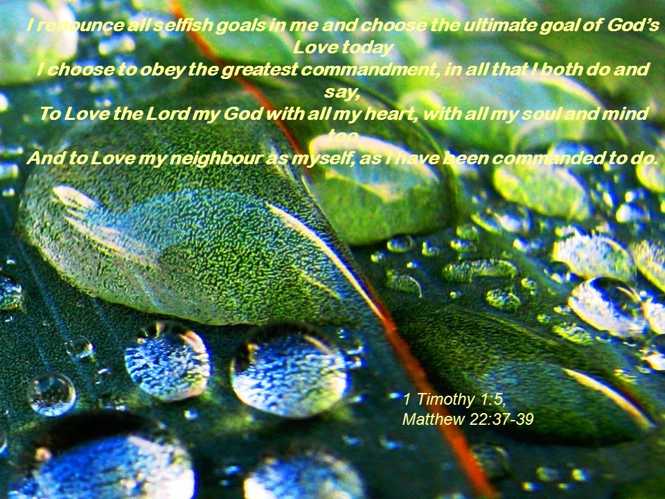 I renounce all selfish goals in me and choose the ultimate goal of God’s Love today I choose to obey the greatest commandment, in all that I both do and say, To Love the Lord my God with all my heart, with all my soul and mind too And to Love my neighbour as myself, as I have been commanded to do.