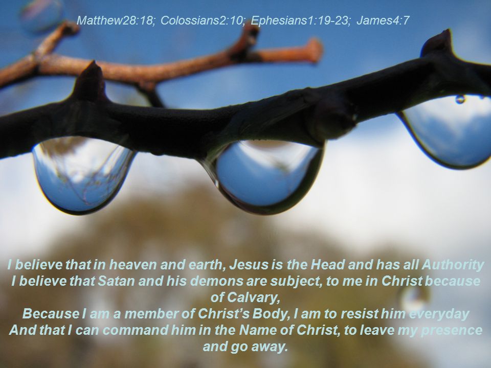 I believe that in heaven and earth, Jesus is the Head and has all Authority I believe that Satan and his demons are subject, to me in Christ because of Calvary, Because I am a member of Christ’s Body, I am to resist him everyday And that I can command him in the Name of Christ, to leave my presence and go away.