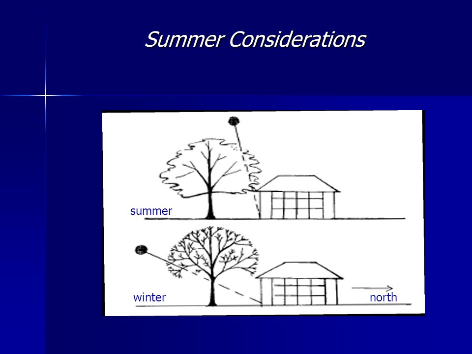 Summer Considerations northwinter summer