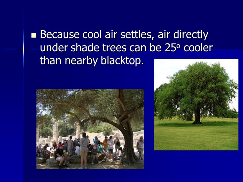Because cool air settles, air directly under shade trees can be 25 o cooler than nearby blacktop.