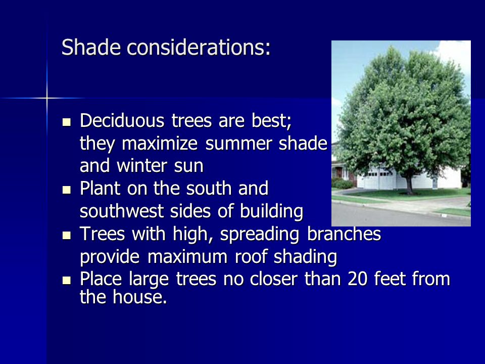 Shade considerations: Deciduous trees are best; Deciduous trees are best; they maximize summer shade and winter sun Plant on the south and Plant on the south and southwest sides of building Trees with high, spreading branches Trees with high, spreading branches provide maximum roof shading Place large trees no closer than 20 feet from the house.