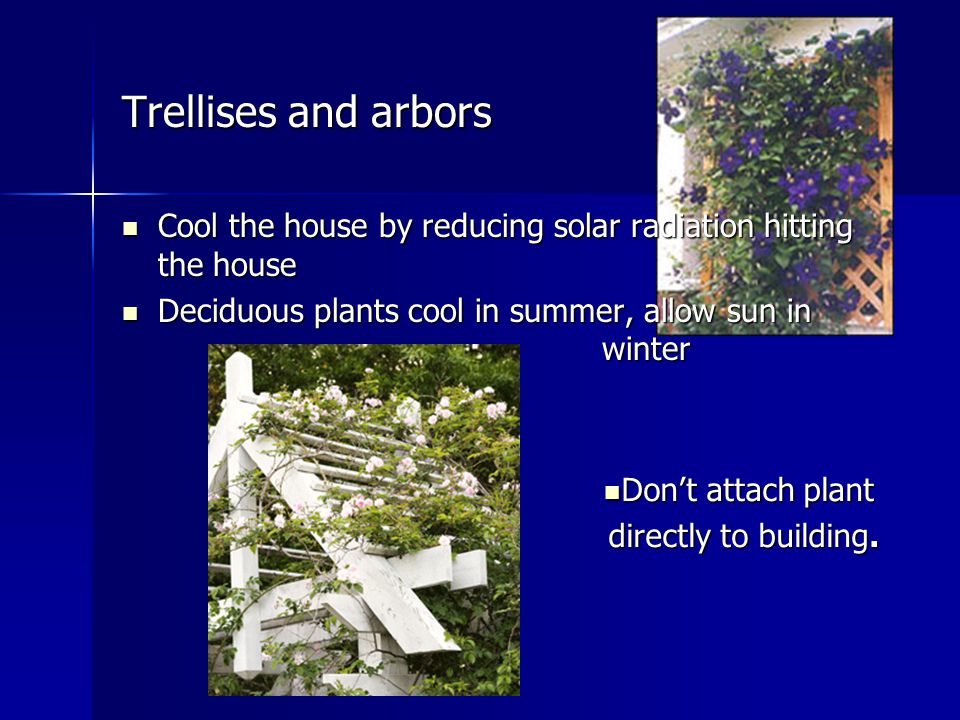 Trellises and arbors Cool the house by reducing solar radiation hitting the house Cool the house by reducing solar radiation hitting the house Deciduous plants cool in summer, allow sun in winter Deciduous plants cool in summer, allow sun in winter Don’t attach plant Don’t attach plant directly to building.
