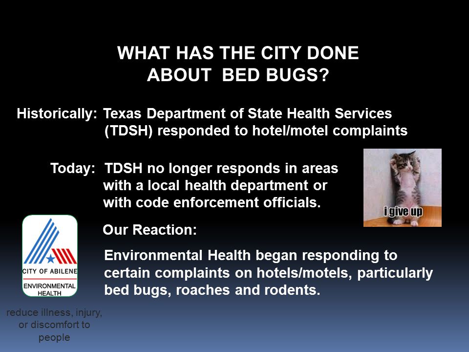 WHAT HAS THE CITY DONE ABOUT BED BUGS.