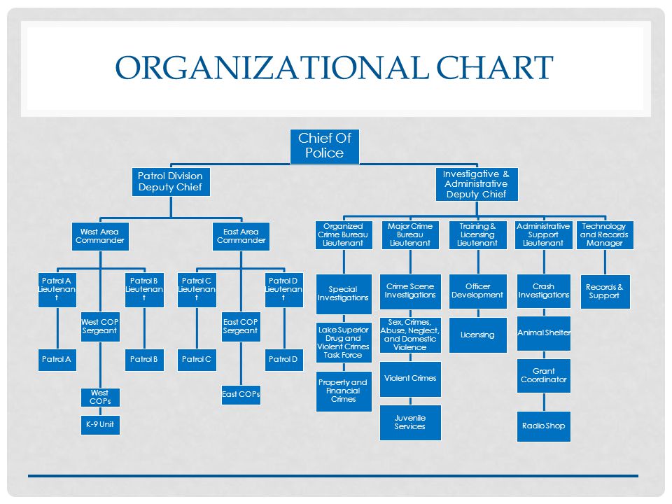 Dallas Police Organizational Chart