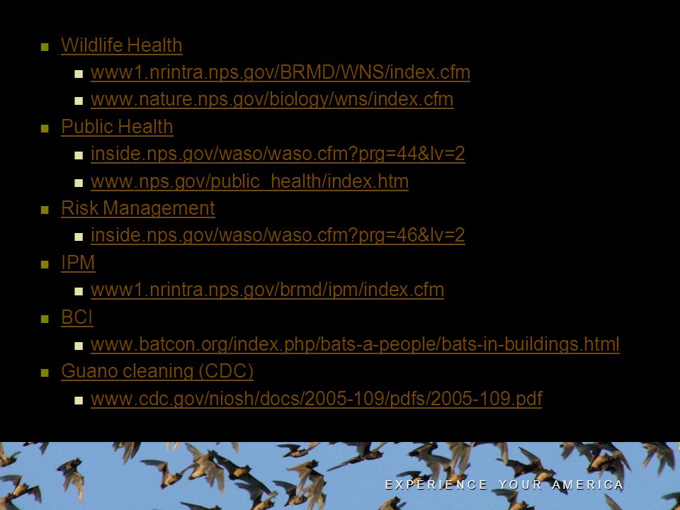 Wildlife Health www1.nrintra.nps.gov/BRMD/WNS/index.cfm   Public Health inside.nps.gov/waso/waso.cfm prg=44&lv=2   Risk Management inside.nps.gov/waso/waso.cfm prg=46&lv=2 IPM IPM IPM www1.nrintra.nps.gov/brmd/ipm/index.cfm www1.nrintra.nps.gov/brmd/ipm/index.cfm www1.nrintra.nps.gov/brmd/ipm/index.cfm BCI BCI BCI Guano cleaning (CDC)