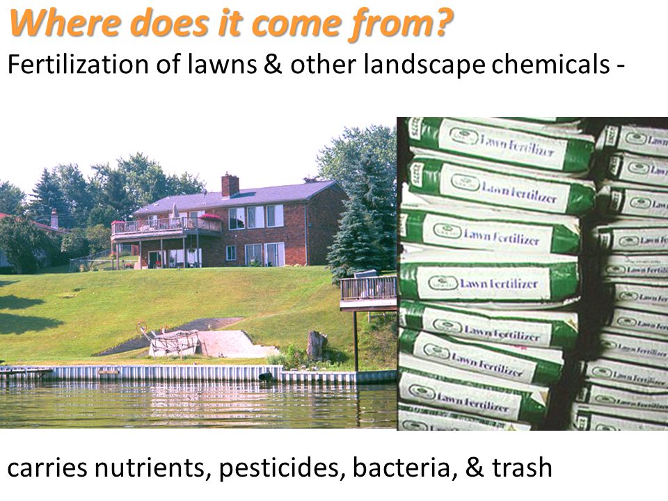 carries nutrients, pesticides, bacteria, & trash Where does it come from.