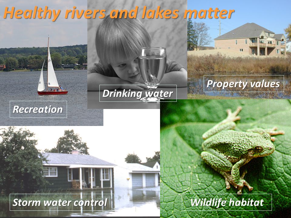 Healthy rivers and lakes matter Storm water control Wildlife habitat Recreation Property values Drinking water