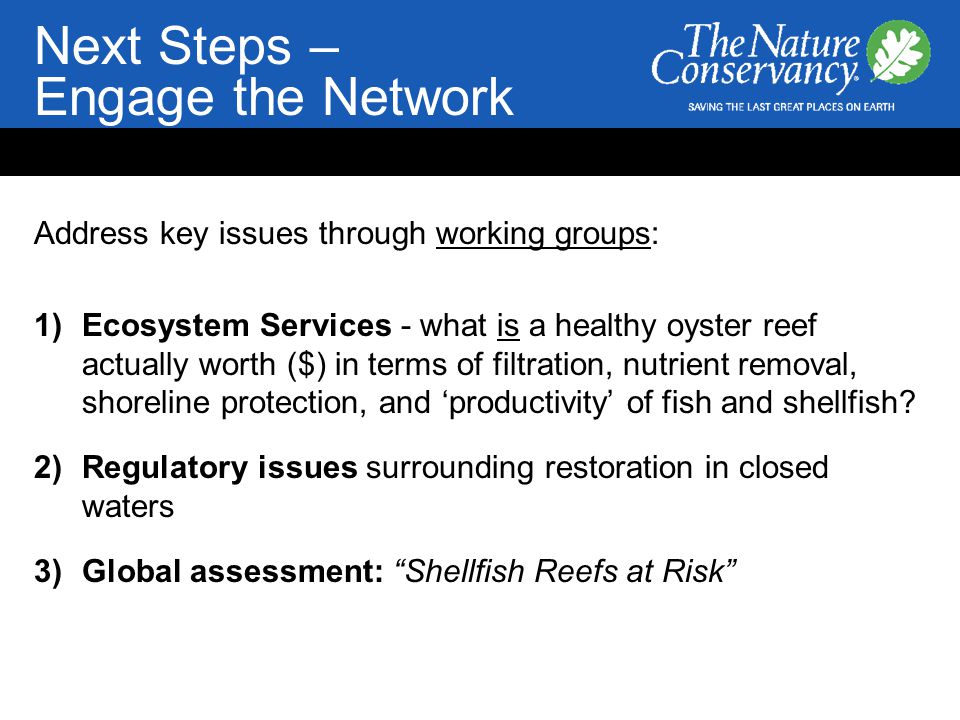 Next Steps – Engage the Network Address key issues through working groups: 1)Ecosystem Services - what is a healthy oyster reef actually worth ($) in terms of filtration, nutrient removal, shoreline protection, and ‘productivity’ of fish and shellfish.