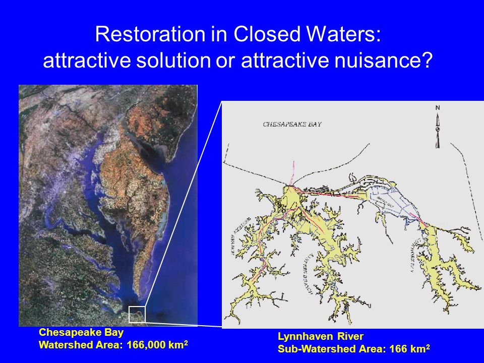 Restoration in Closed Waters: attractive solution or attractive nuisance.
