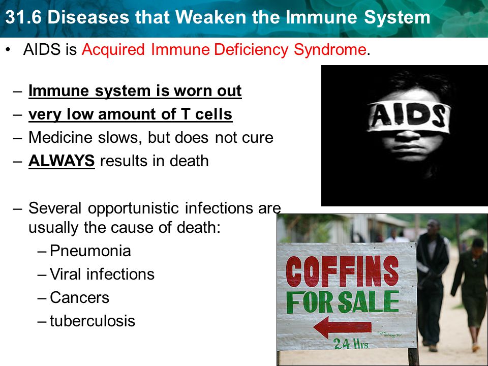 31.6 Diseases that Weaken the Immune System AIDS is Acquired Immune Deficiency Syndrome.