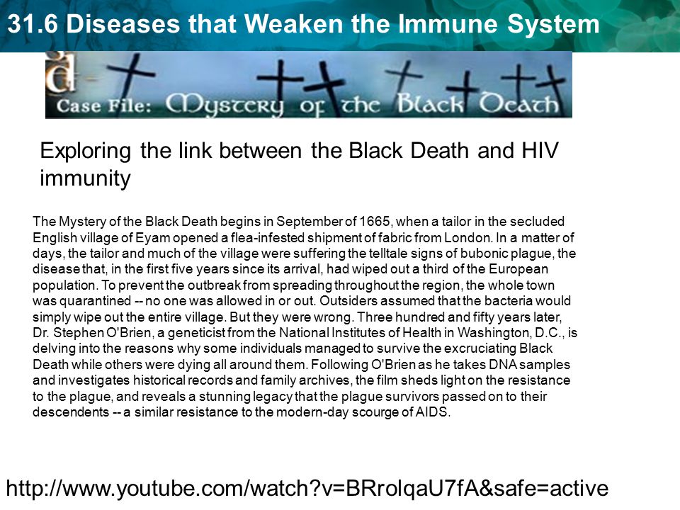 31.6 Diseases that Weaken the Immune System Exploring the link between the Black Death and HIV immunity   v=BRrolqaU7fA&safe=active The Mystery of the Black Death begins in September of 1665, when a tailor in the secluded English village of Eyam opened a flea-infested shipment of fabric from London.