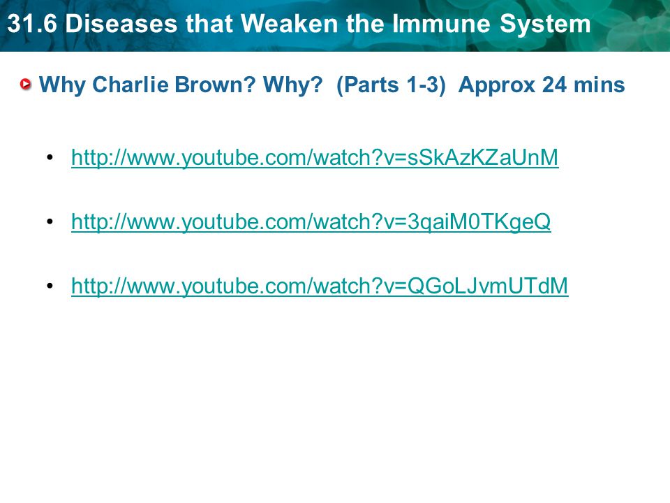 31.6 Diseases that Weaken the Immune System Why Charlie Brown.
