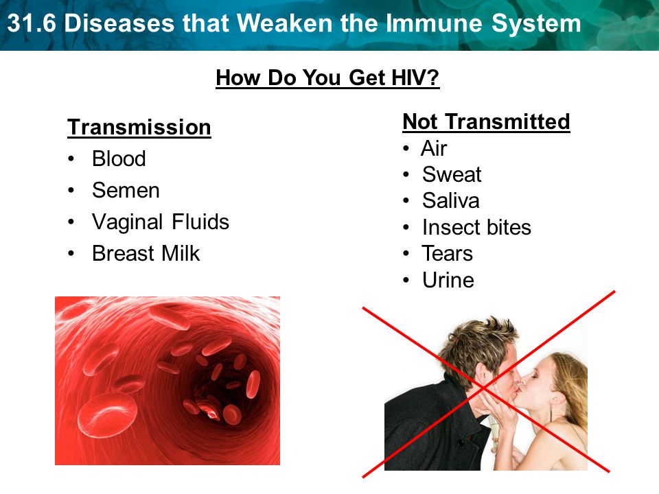 31.6 Diseases that Weaken the Immune System Transmission Blood Semen Vaginal Fluids Breast Milk Not Transmitted Air Sweat Saliva Insect bites Tears Urine How Do You Get HIV