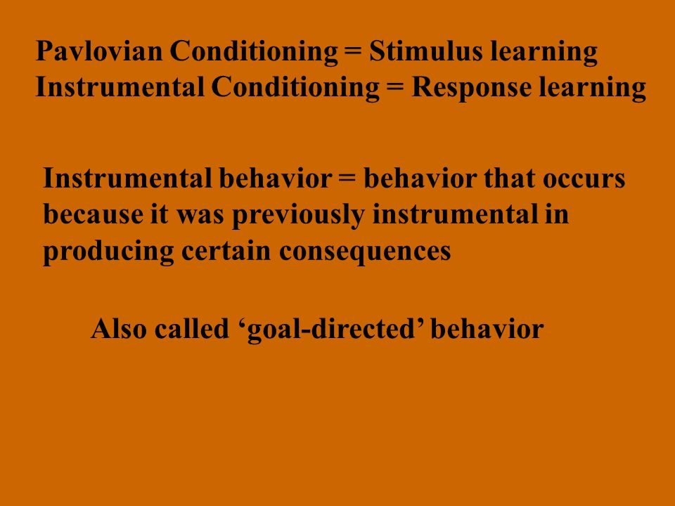 Instrumental Conditioning Also called Operant Conditioning. - ppt download
