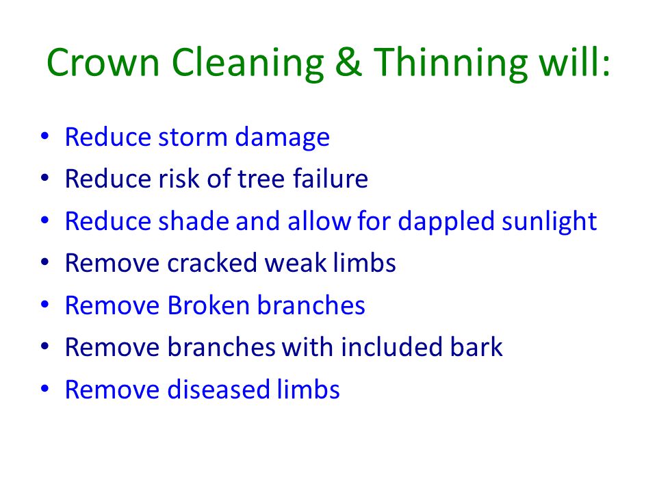 Crown Cleaning & Thinning will: Reduce storm damage Reduce risk of tree failure Reduce shade and allow for dappled sunlight Remove cracked weak limbs Remove Broken branches Remove branches with included bark Remove diseased limbs