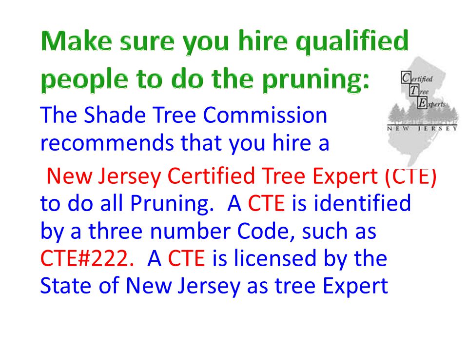The Shade Tree Commission recommends that you hire a New Jersey Certified Tree Expert (CTE) to do all Pruning.