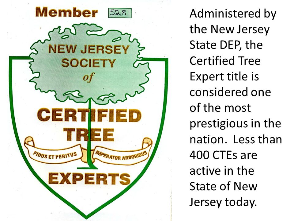 Administered by the New Jersey State DEP, the Certified Tree Expert title is considered one of the most prestigious in the nation.