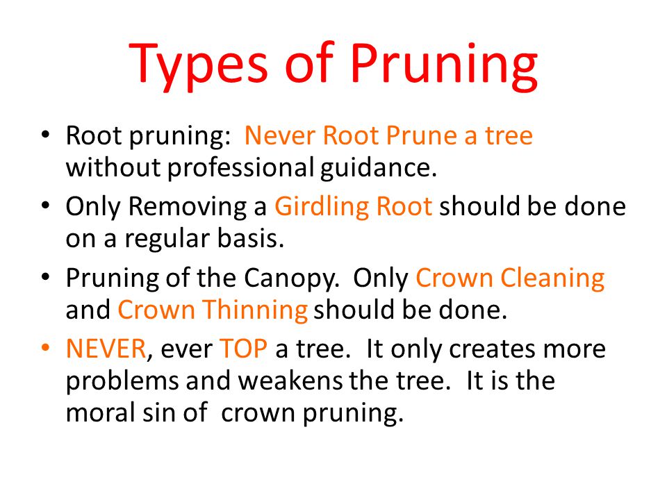 Types of Pruning Root pruning: Never Root Prune a tree without professional guidance.