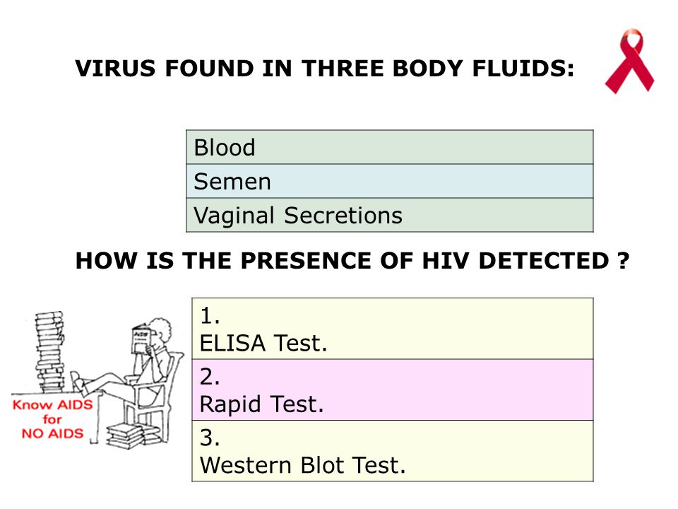 VIRUS FOUND IN THREE BODY FLUIDS: Blood Semen Vaginal Secretions HOW IS THE PRESENCE OF HIV DETECTED .