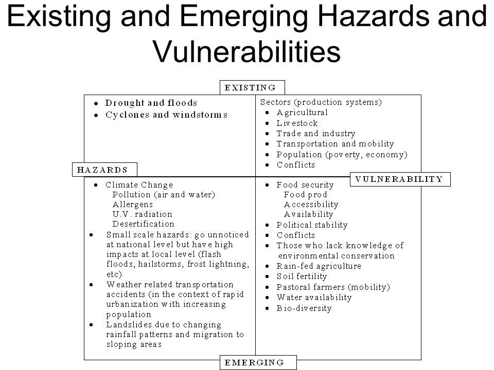 Existing and Emerging Hazards and Vulnerabilities