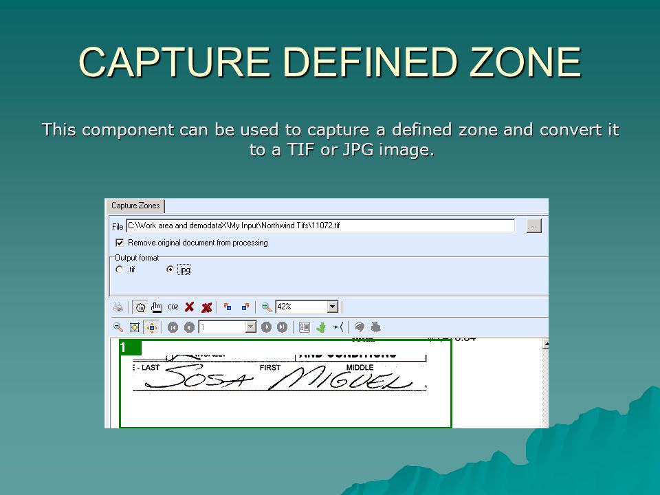 CAPTURE DEFINED ZONE This component can be used to capture a defined zone and convert it to a TIF or JPG image.