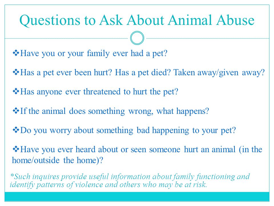 The Link Between Animal Abuse and Family Violence October ppt download