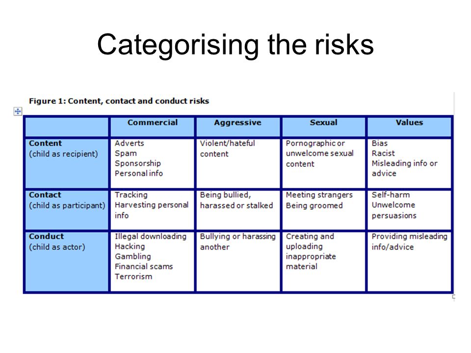 Categorising the risks