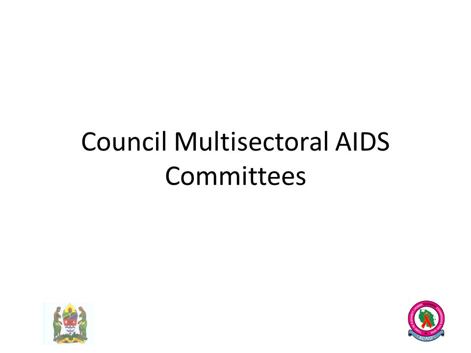 Council Multisectoral AIDS Committees