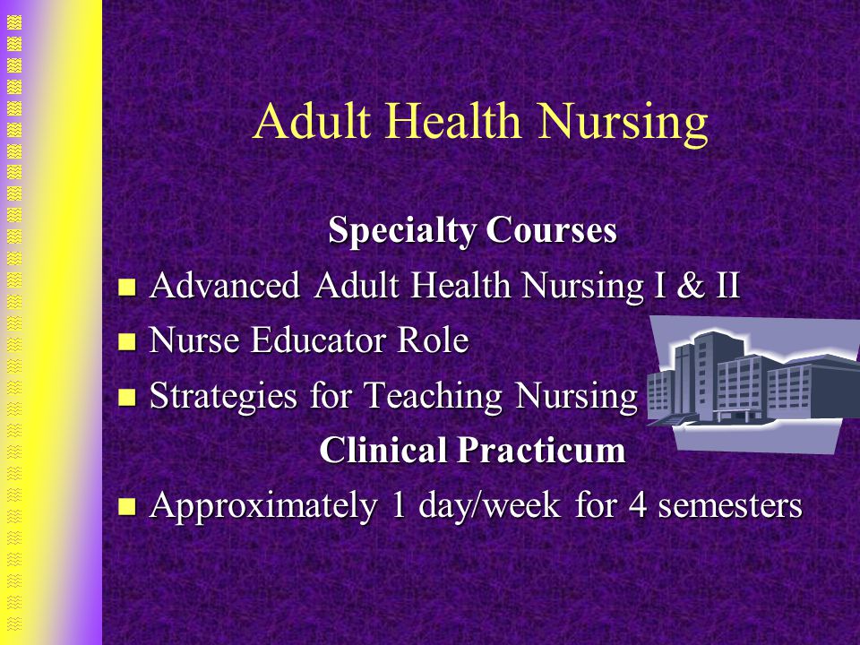Adult Health Nursing Specialty Courses n Advanced Adult Health Nursing I & II n Nurse Educator Role n Strategies for Teaching Nursing Clinical Practicum n Approximately 1 day/week for 4 semesters