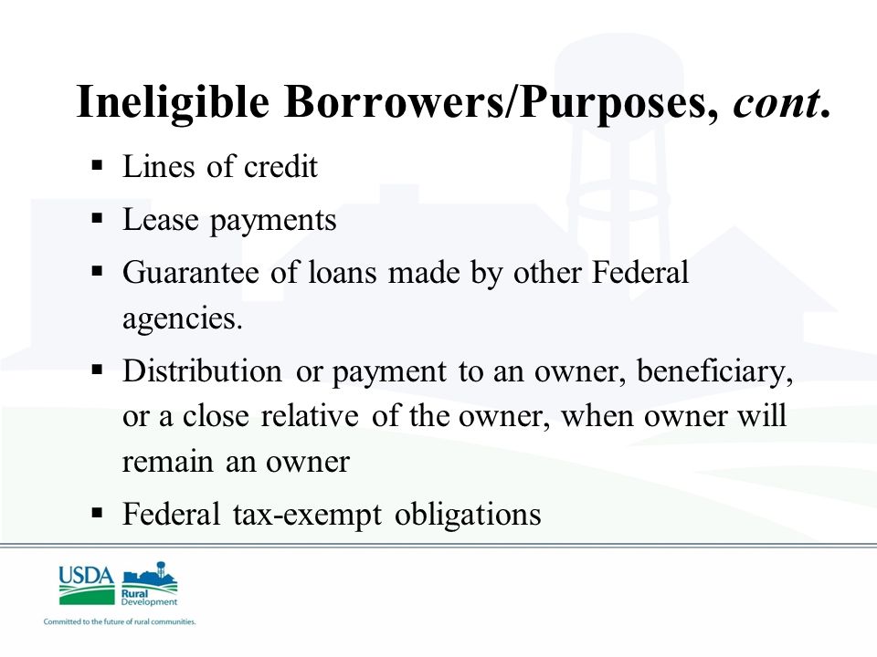 Ineligible Borrowers/Purposes  Charitable institutions  Churches or church-controlled organizations  Fraternal organizations  Lending and investment institutions  Insurance companies  Businesses engaged in illegal activity  Golf courses