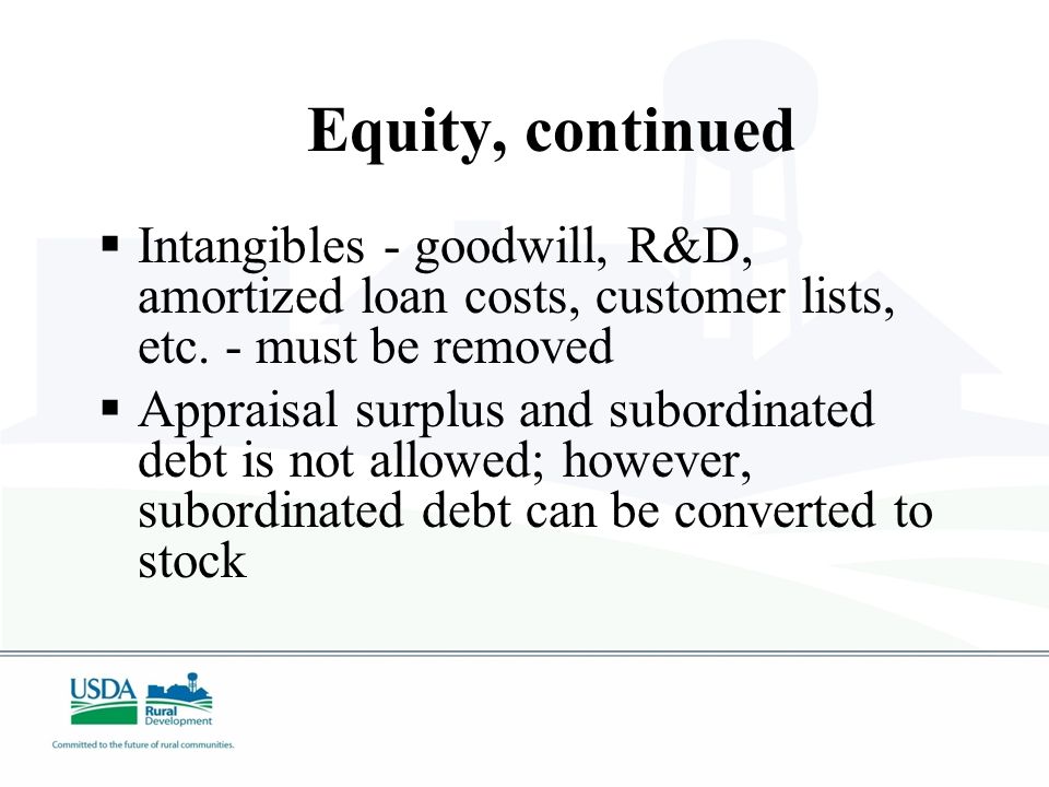 Tangible Balance Sheet Equity  Financial statements must be prepared in accordance with GAAP (may be In-house financials)  Minimum of 10 percent required for existing businesses  Minimum of 20 percent required for new businesses  Minimum of percent required for energy projects, depending on certain criteria.