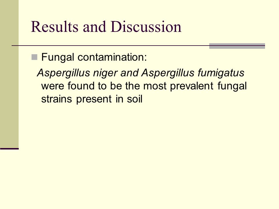 Results and Discussion Fungal contamination: Aspergillus niger and Aspergillus fumigatus were found to be the most prevalent fungal strains present in soil