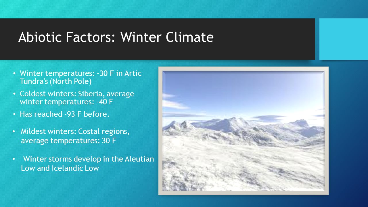 Arctic Tundra Abiotic Factors