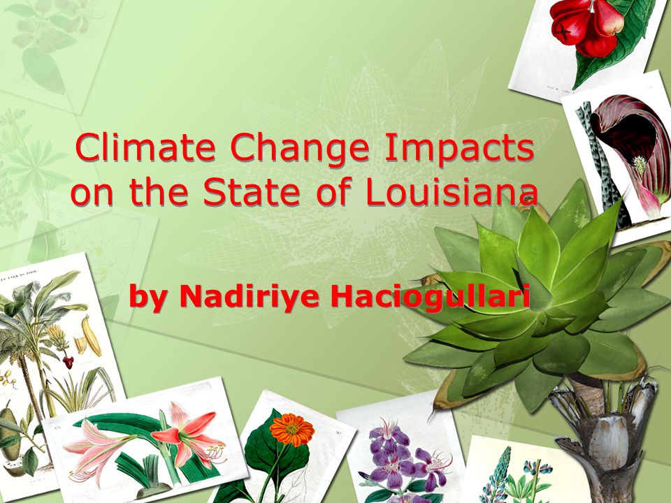 Climate Change Impacts on the State of Louisiana by Nadiriye Haciogullari