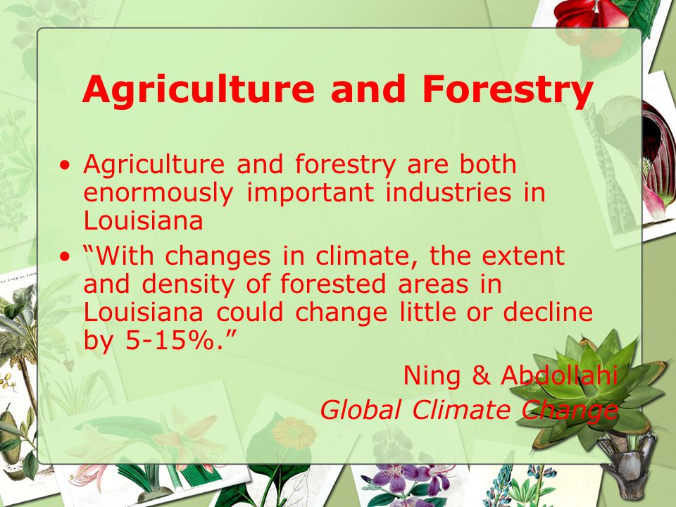Agriculture and Forestry Agriculture and forestry are both enormously important industries in Louisiana With changes in climate, the extent and density of forested areas in Louisiana could change little or decline by 5-15%. Ning & Abdollahi Global Climate Change