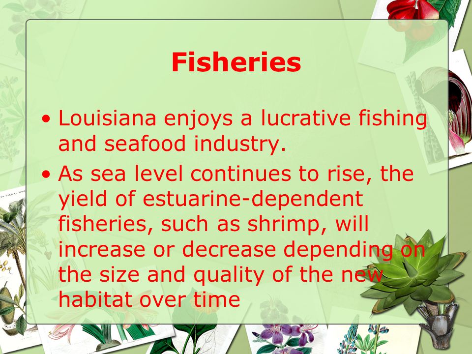 Fisheries Louisiana enjoys a lucrative fishing and seafood industry.